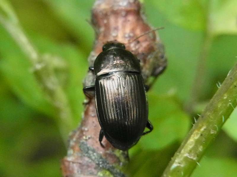 découvrez les meilleures solutions pour l'amélioration de l'assurance santé des fonctionnaires territoriaux et bénéficiez d'une couverture optimale adaptée à vos besoins.