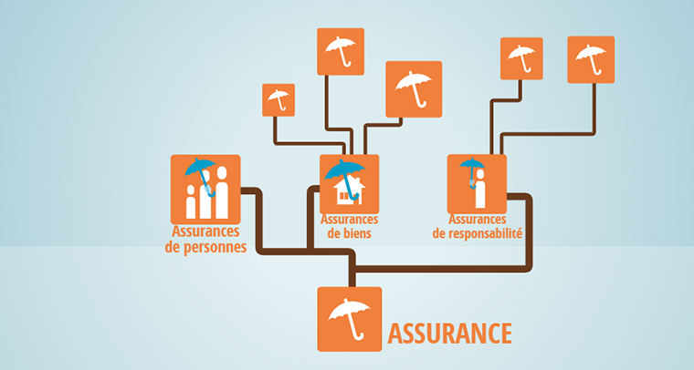 découvrez notre assurance spécialisée contre les dommages causés par la tempête goretti. protégez votre maison et vos biens avec une couverture fiable et adaptée.