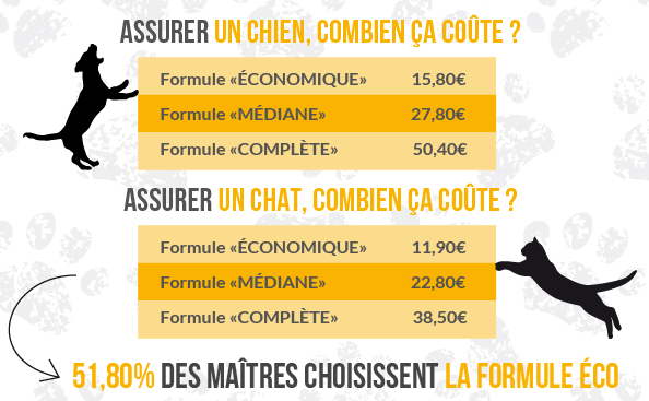 pet service holding lance une nouvelle assurance animaux offrant une protection complète et adaptée aux besoins de vos compagnons.