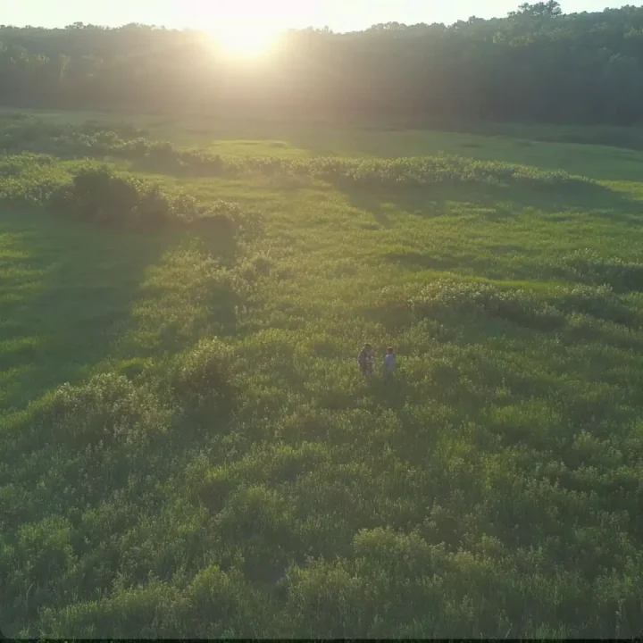 découvrez les meilleures assurances-vie avec fonds en euros offrant des rendements compétitifs pour sécuriser et faire fructifier votre épargne en toute sérénité.